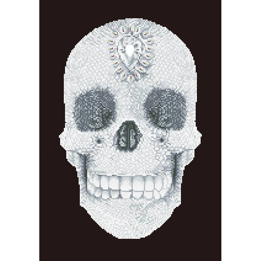 クリスタル　オブジェ　アート Amazon.com: DIAMOND DOTZ Crystal Skull Diamond Painting Kits